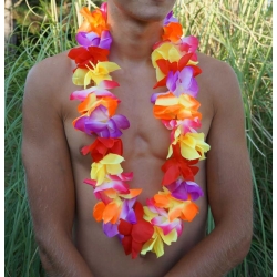 Collier de fleur Hawaï multicolore