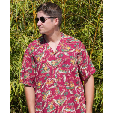 Chemise hawaienne iles de l'archipel