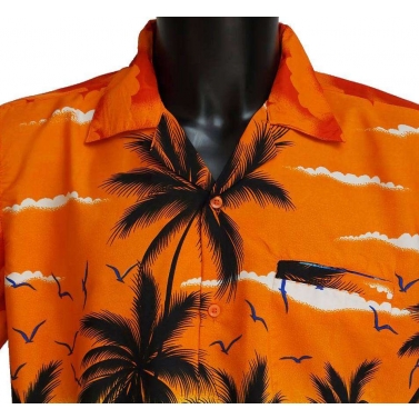 chemise tahitienne