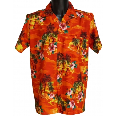 chemise fantaisie