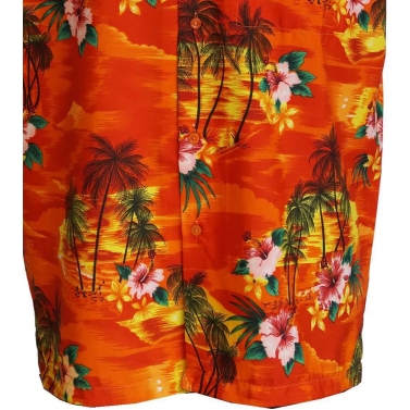 chemise fantaisie