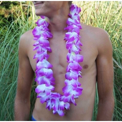 Collier de fleur Hawaï violet