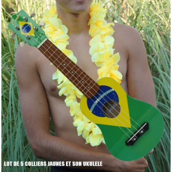 UKULL BRAZIL ET COLLIERS DE FLEURS