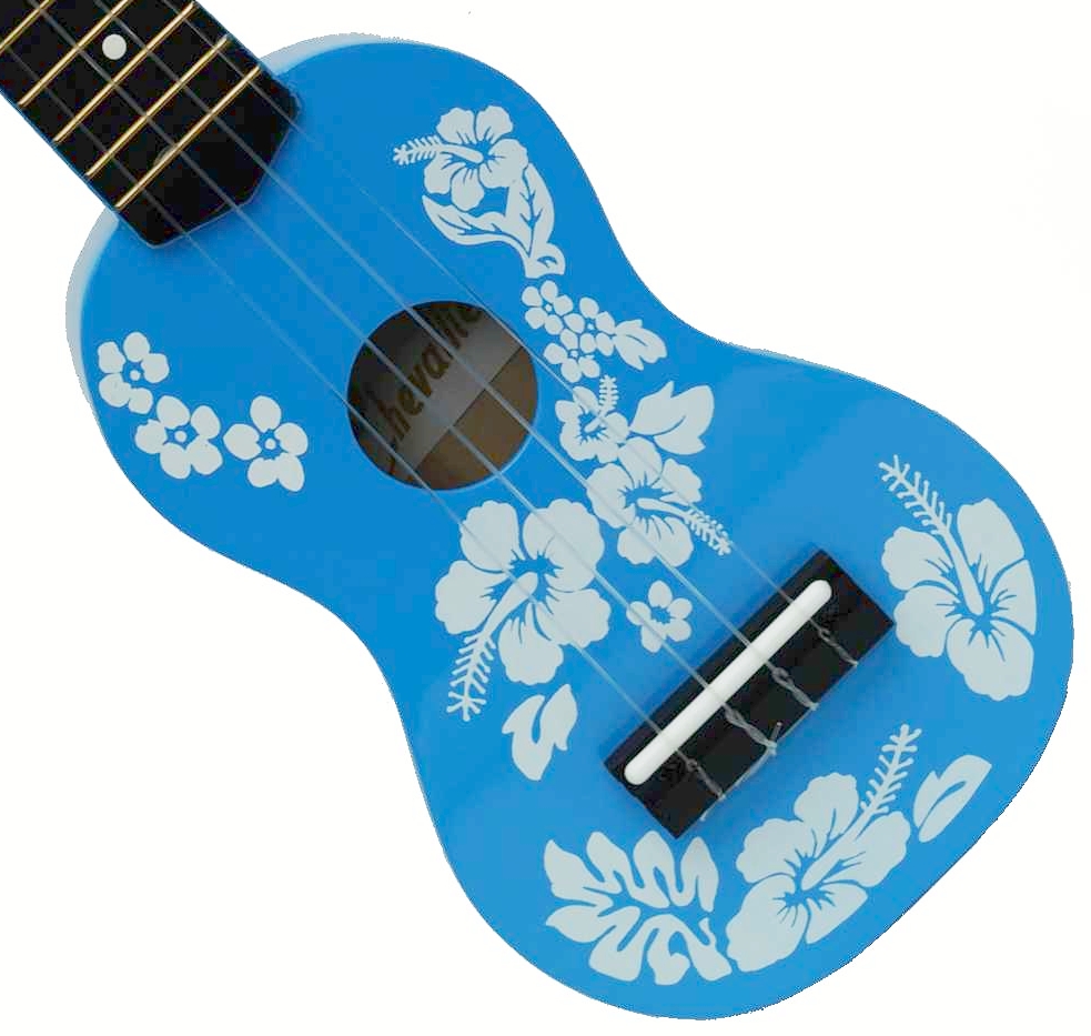 Ukulélé à petit prix, indispensable pour une ambiance Hawai.