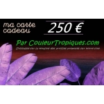 Carte cadeau 250 *