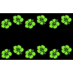 Par�o NUAGE D'HIBISCUS